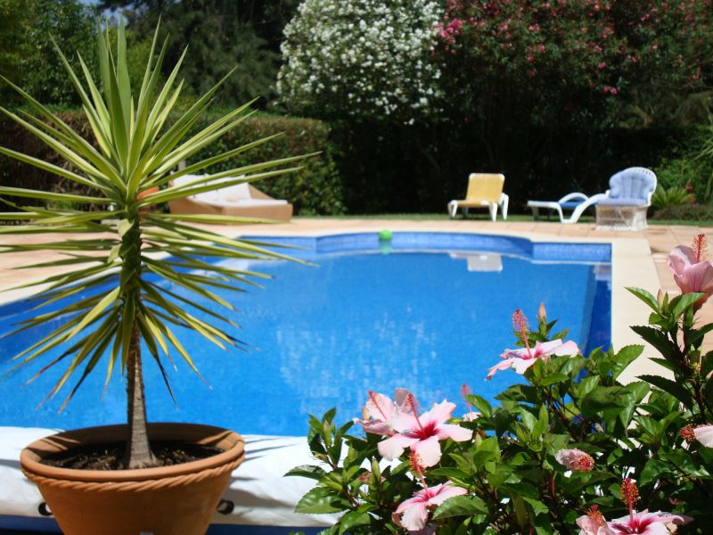 Poolside Hardscaping in Norwalk, CT