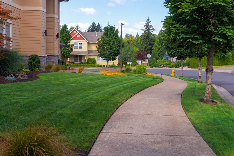 Sidewalk Enlargement in Denver, CO