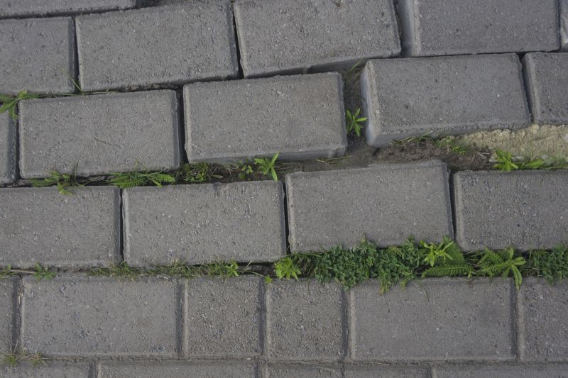 Sidewalk Pavers Installation in Boston, MA
